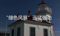 “绿色风暴”迅猛强劲 催生板材企业实施绿色营销