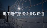 电工电气品牌企业以正道行其身	，从不懈怠寻新机