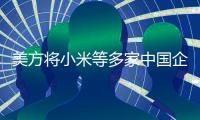 快排公司十年历程，霸屏兔 seo 的崛起与坚守