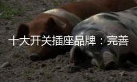 十大开关插座品牌：完善服务 成就行业优质品牌