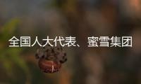 全国人大代表、蜜雪集团赵红果：建议新式茶饮建立国家标准