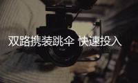 快排公司十年历程，霸屏兔 seo 的崛起与坚守