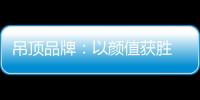 吊顶品牌：以颜值获胜 以品质为王