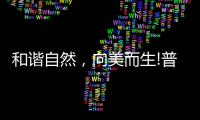 和谐自然�，向美而生!普乐美为原创设计发声，亮相2021KBC!