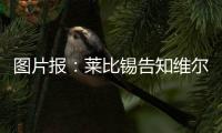 图片报：莱比锡告知维尔纳将不再上场	，唯一下家或为纽约红牛