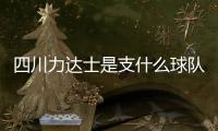 四川力达士是支什么球队
