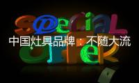 快排公司十年历程，霸屏兔 seo 的崛起与坚守