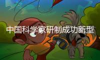 中国科学家研制成功新型可编程光量子计算芯片