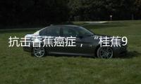 抗击香蕉癌症
，“桂蕉9号”出手