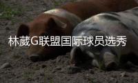 林葳G联盟国际球员选秀被达拉斯选中！现面临发展联盟、NBL	、NCAA三选一�！