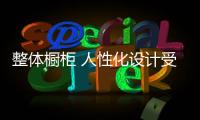 整体橱柜 人性化设计受青睐