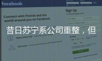 昔日苏宁系公司重整�
，但易主后的上市公司扭亏为盈