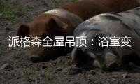 派格森全屋吊顶：浴室变高级了!