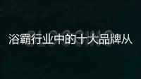 快排公司十年历程，霸屏兔 seo 的崛起与坚守