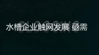 快排公司十年历程，霸屏兔 seo 的崛起与坚守
