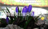 快排公司十年历程，霸屏兔 seo 的崛起与坚守