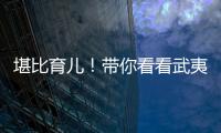 堪比育儿！带你看看武夷山人的“育茶之道”