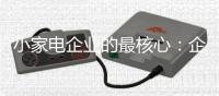 小家电企业的最核心：企业家、企业和产品