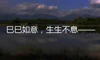 巳巳如意
，生生不息——2025年总台春晚主题	、主标识发布