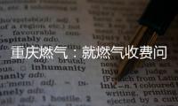 重庆燃气	：就燃气收费问题对相关责任人和部门追责问责