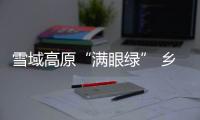 雪域高原“满眼绿” 乡村美景“入画来”