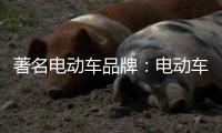 著名电动车品牌：电动车故障维修大全