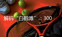 快排公司十年历程，霸屏兔 seo 的崛起与坚守