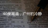 40度高温	
，广州豹冷静布局