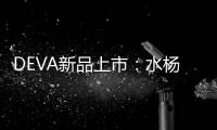 快排公司十年历程，霸屏兔 seo 的崛起与坚守